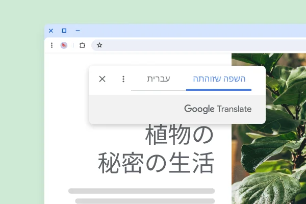 אתר אינטרנט עם צמחים וטקסט מתורגם שאומר 'החיים הסודיים של הצמחים'